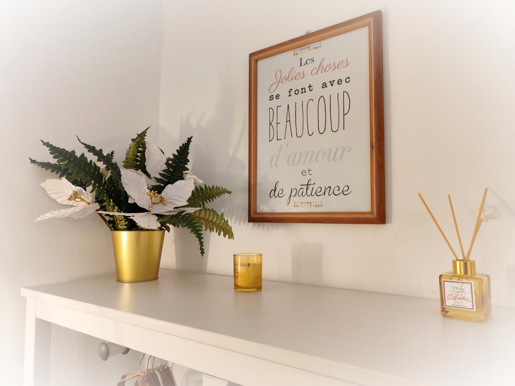 Calin Apartment Turin Luaran gambar